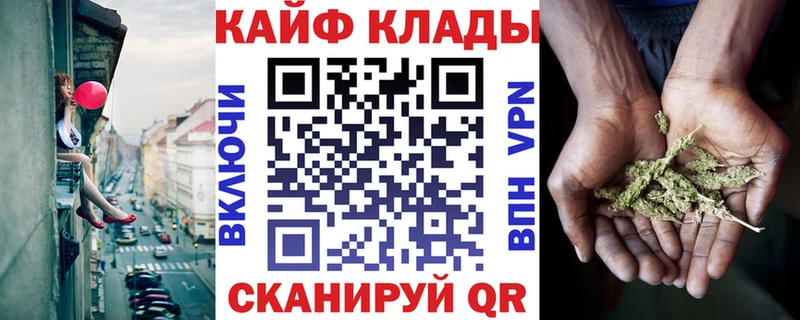 Где купить наркоту Димитровград Каннабис  Меф  Галлюциногенные грибы  Гашиш 