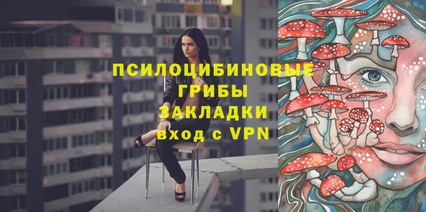 тгк Гусев