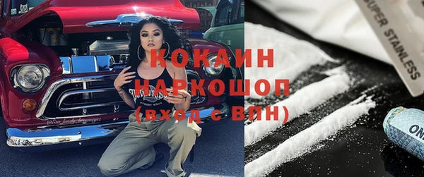 тгк Гусев