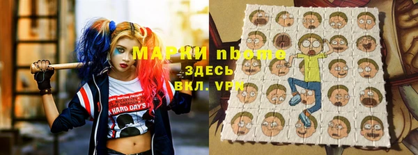 тгк Гусев