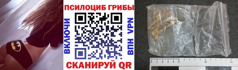 KRAKEN ONION наркота Димитровград Галлюциногенные грибы Psilocybe
